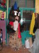 DSCN1994.JPG