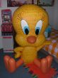 DSCN3581.JPG