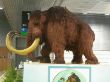 mamut 1.JPG